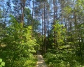 Ирбис: отзыв от Марина Рощина