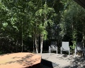 White Wood: отзыв от Наталья
