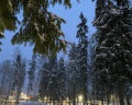 Русские сезоны: отзыв от Евгения Кар