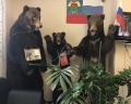 Империя: отзыв от Оля В.
