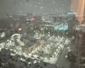 Gala Hotel: отзыв от Светлана Долина.рент