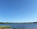 Хвоя. Карелия: отзыв от Darja Kolyada