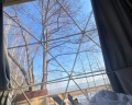 Holidays Forest: отзыв от Нелли Воробьёва