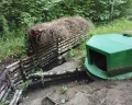 Гостилицы: отзыв от Игорь Белов