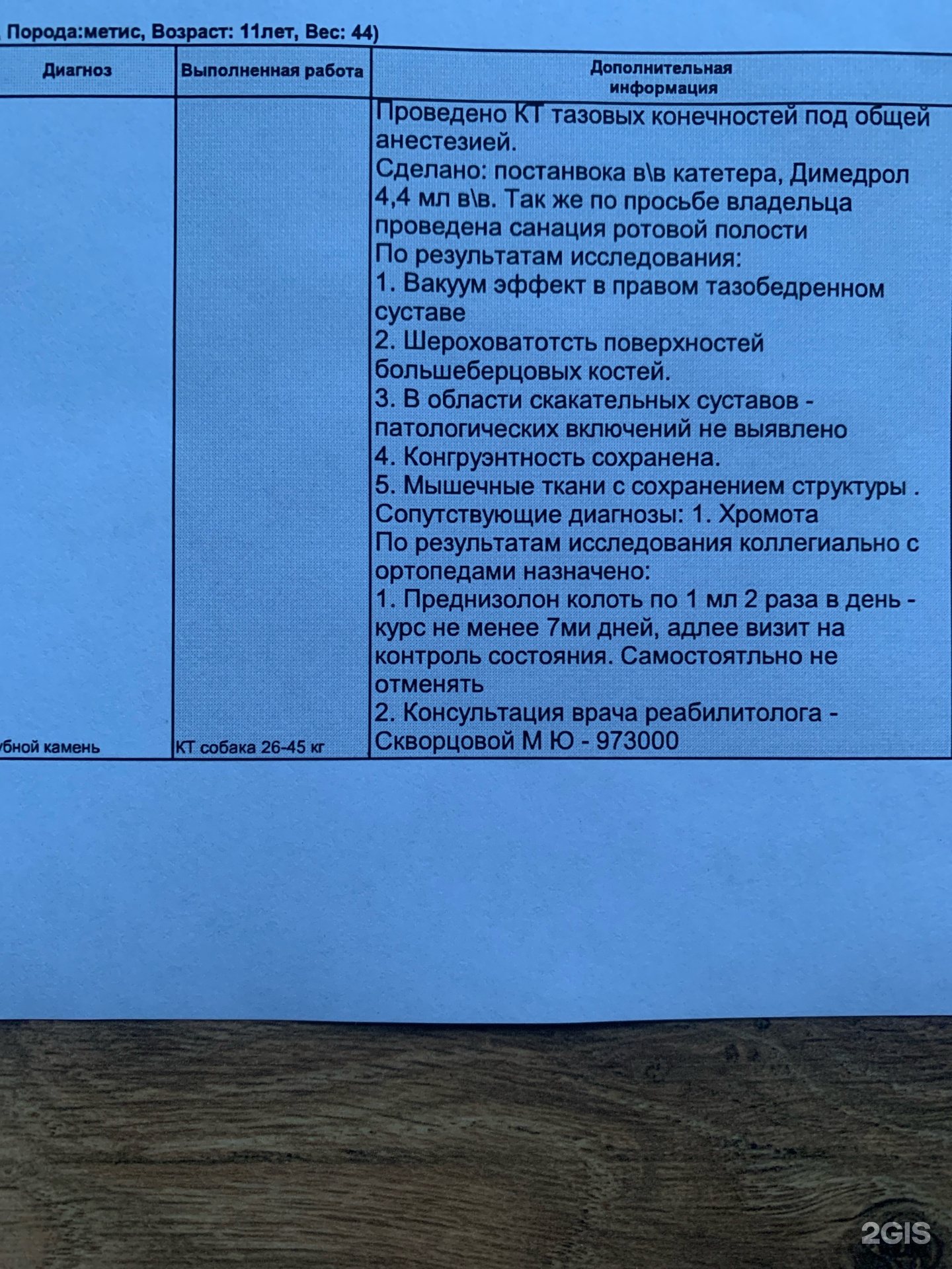 Захаров и Фарафонтова, ветеринарная служба, Озёрная, 25Б, Калининград — 2ГИС