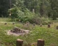 Сытый Кот-Благое Место: отзыв от Антон Харкавый