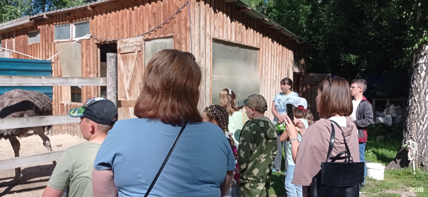 Страусиное ранчо, страусиная ферма - цены и каталог товаров в Ялуторовск,  Басаргина, 1а — 2ГИС