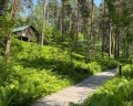 Чепош парк: отзыв от Ксения Канищева