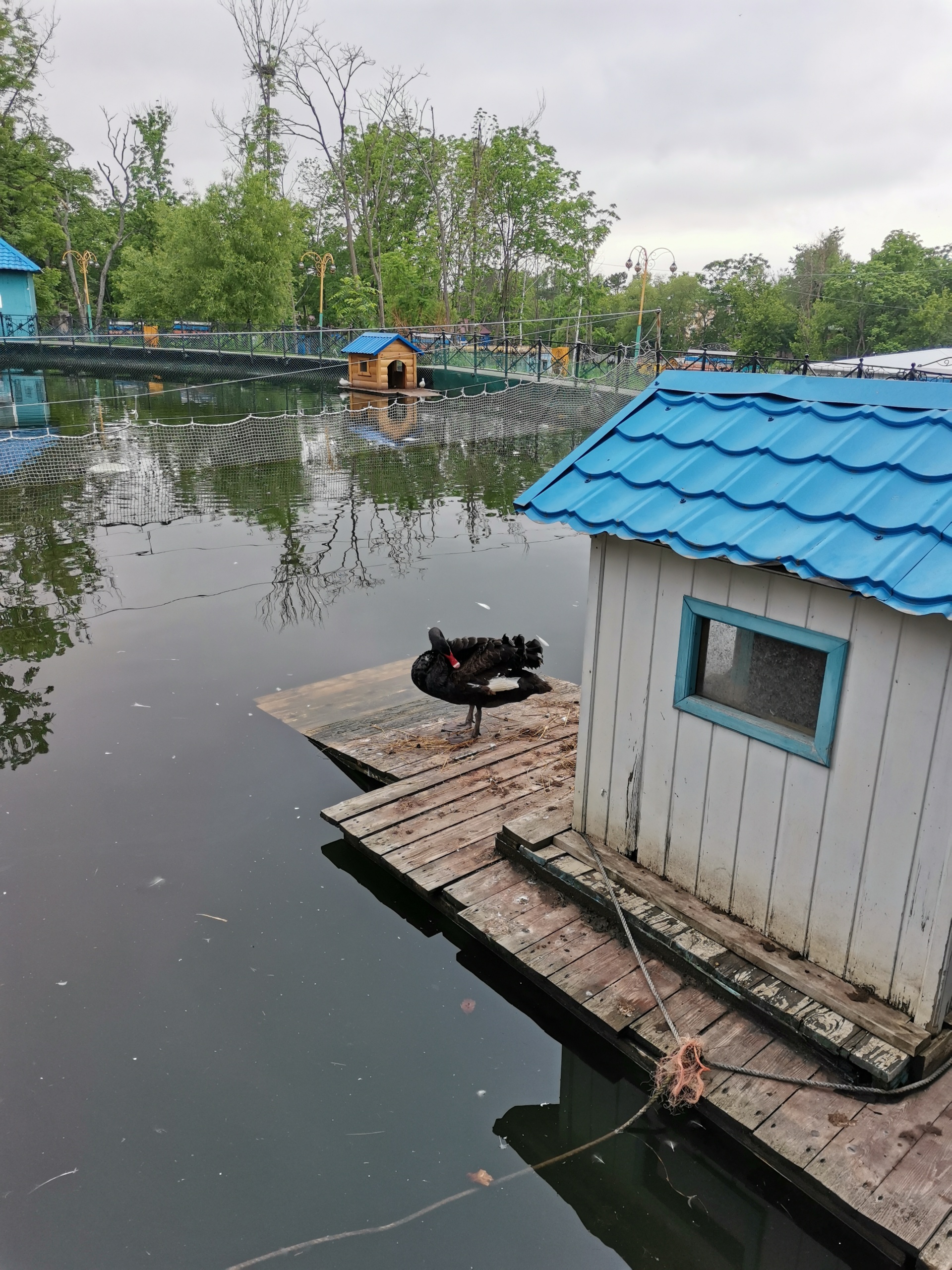 Океан, дельфинарий, Садгородская улица, 21 ст2, Владивосток — 2ГИС