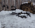 Лес: отзыв от Айгуль Ширшева