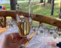 Борвиха hotel&SPA: отзыв от Алина Дятлова
