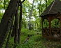 Хвалынский Парк-Отель & SPA: отзыв от Мария Молчанова