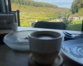 JustWood hotel: отзыв от Юрий Серегин