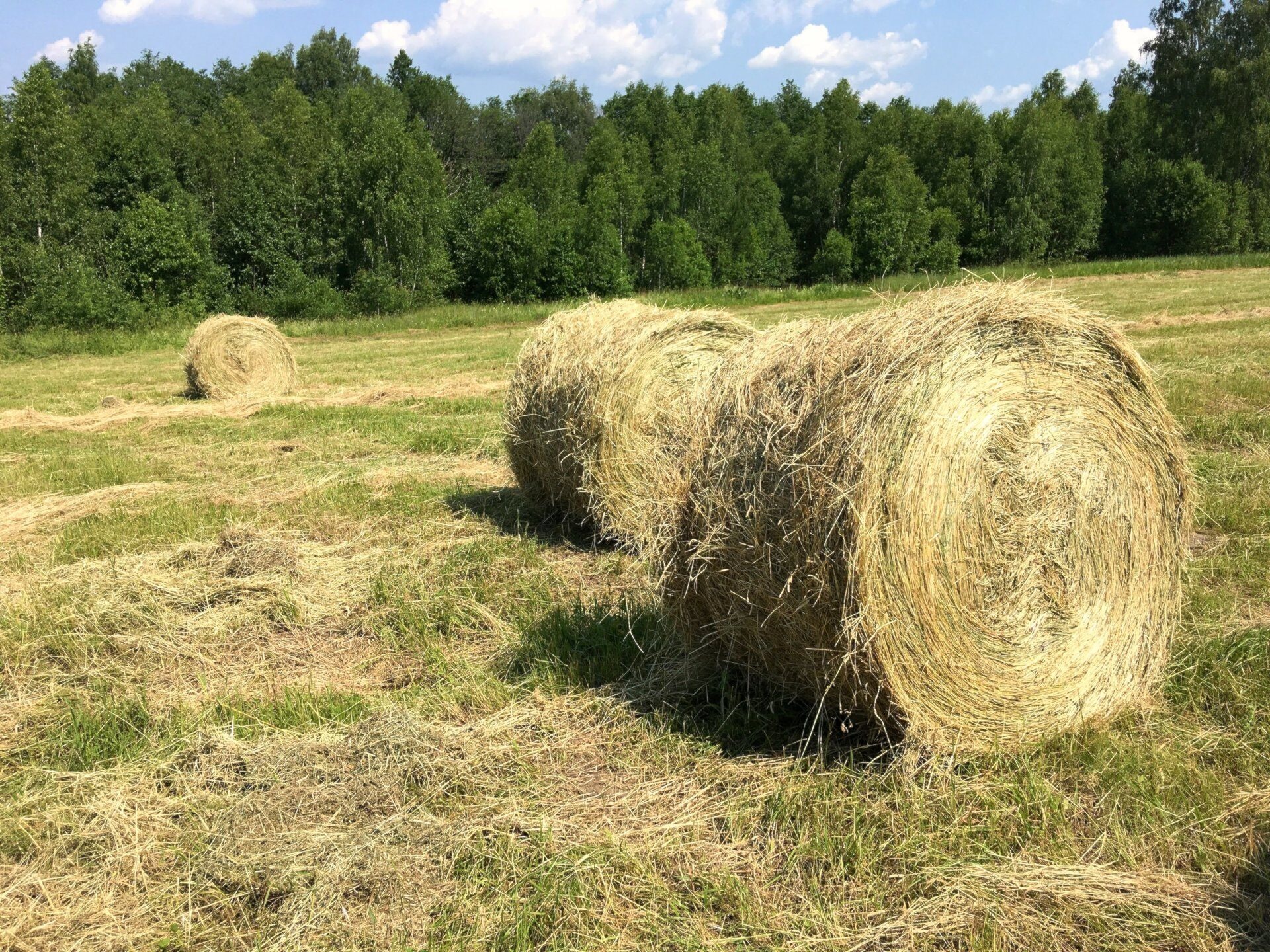 Компания по продаже сена в рулонах, Мираж, Пушкарская, 140, Пермь — 2ГИС