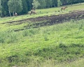 Cosmos Collection Altay Resort: отзыв от Михаил К