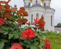 Бобачевская роща: отзыв от Славяна Л. Славяна