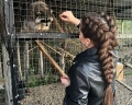 Лес Абрау: отзыв от Катерина Игоревна