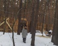 Пески: отзыв от Дарья Журавлева