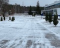 Алые паруса: отзыв от Екатерина