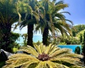 Villa Esenin: отзыв от dds fond