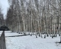 Экстримлэнд: отзыв от Анна Пугина