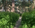 Парус: отзыв от Василий Петров