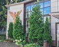 Cronwell Park Ника: отзыв от IrenA DomrA