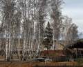 Каменная речка: отзыв от Людмила Руковицина