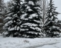 Металлург: отзыв от надежда захарова