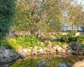 Sunrise eco hotel: отзыв от Разина Гимазова