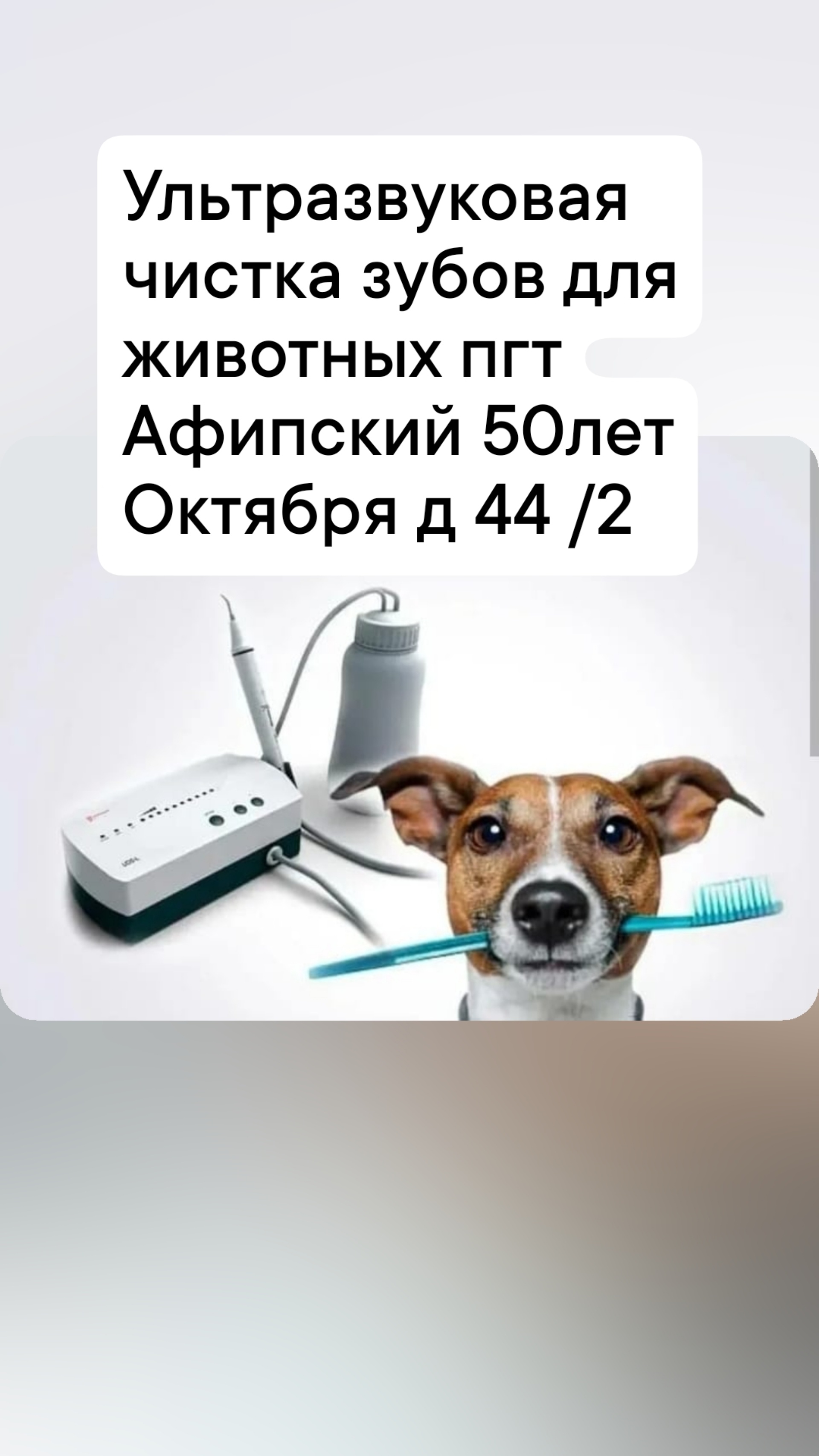 Zoo-лапа, зоомагазин и веткабинет , 50 лет Октября, 44/2, пгт Афипский —  2ГИС