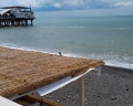 Lavicon apart Sochi: отзыв от Not Nyash