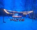 Holidays Forest: отзыв от Анна Лялина