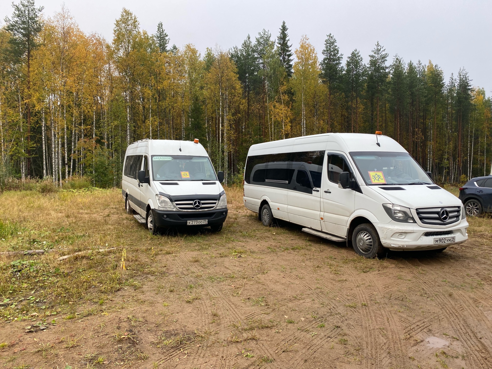 Work horse, транспортная компания, Архангельск, Архангельск — 2ГИС