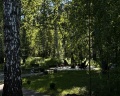 White Wood: отзыв от Наталья
