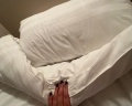 Deep Hotels: отзыв от Алиса Дубровская