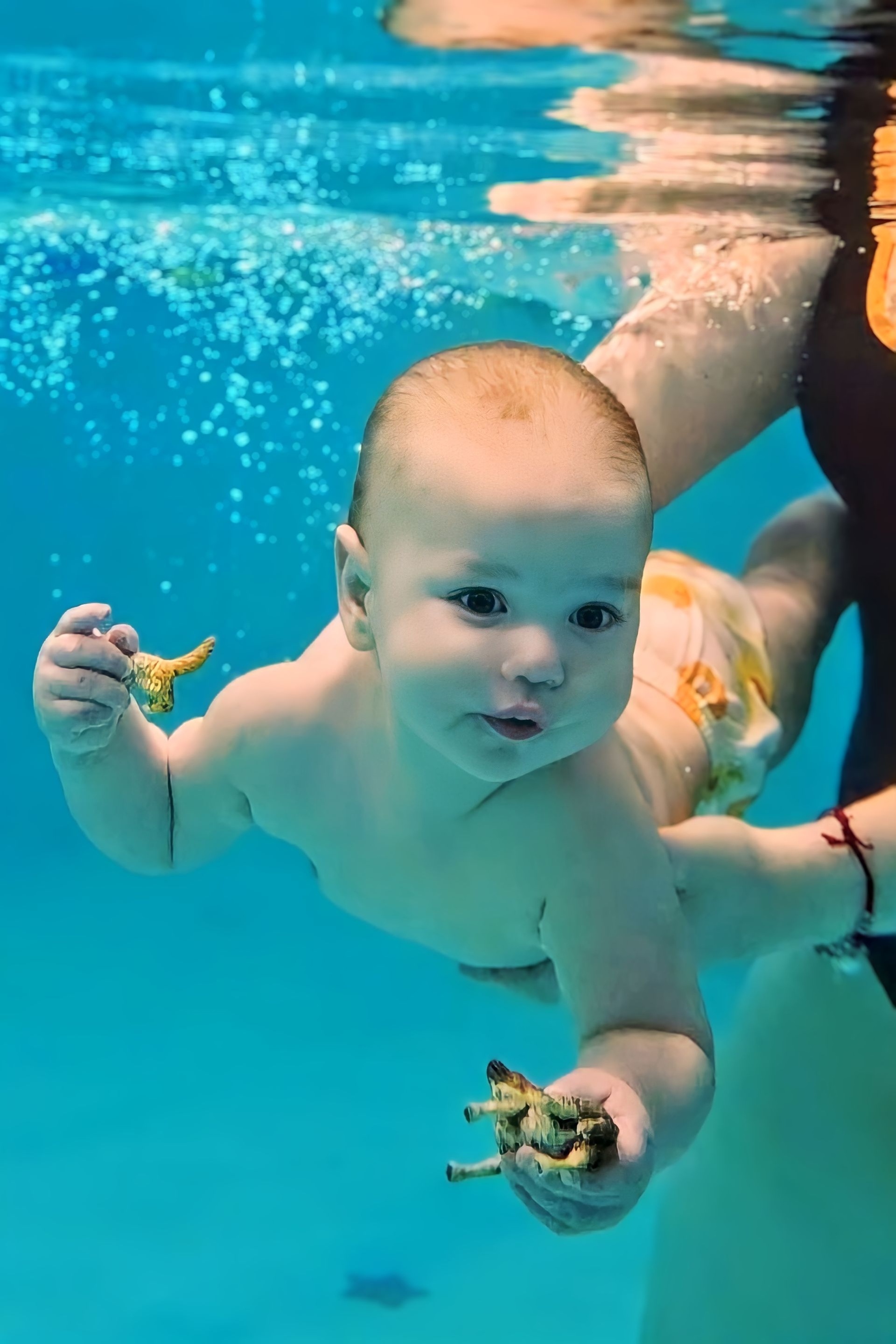 Swim leon, студия детского плавания, улица Чкалова, 5, Владивосток — 2ГИС