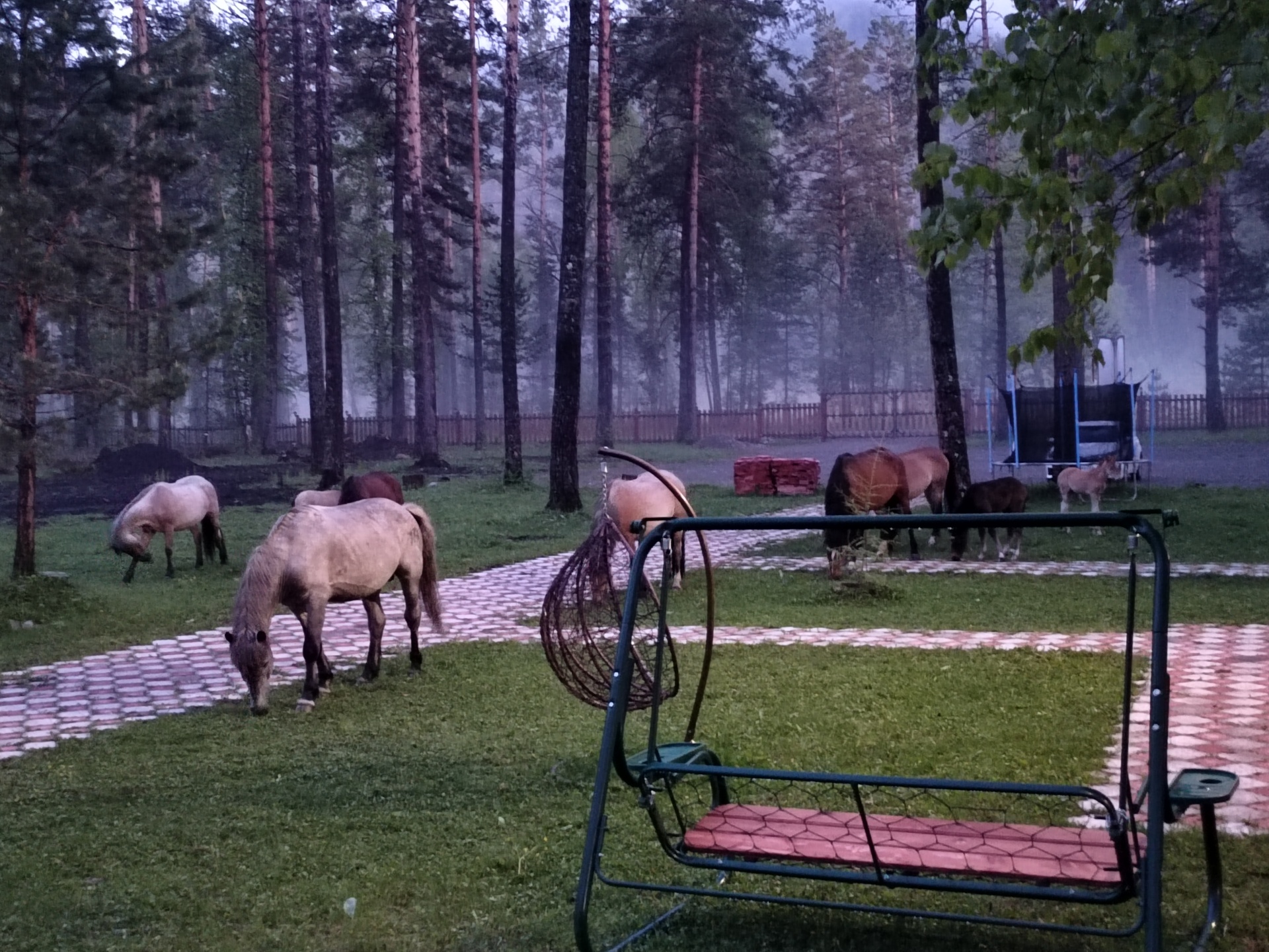 Фаворит, база отдыха, дорога Аскат - Аюла 1 км, 1Б, с. Аскат — 2ГИС