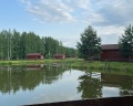 Некрасовская дача: отзыв от Соня