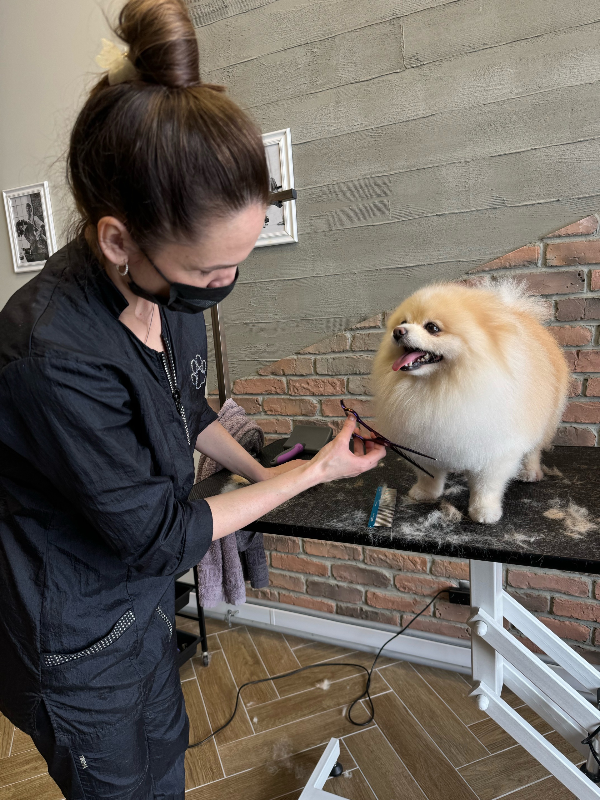 Pet Grooming, грумерский салон, Власихинская улица, 65а к1, Барнаул — 2ГИС