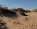 Anapa View: отзыв от Алина К