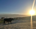 Гостевой дом Панорама: отзыв от Ксения Карнюхина