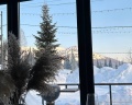 Luxe House: отзыв от Adema 1