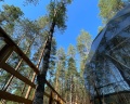 Mystic Hills: отзыв от Даниил из тг @resto_mesto