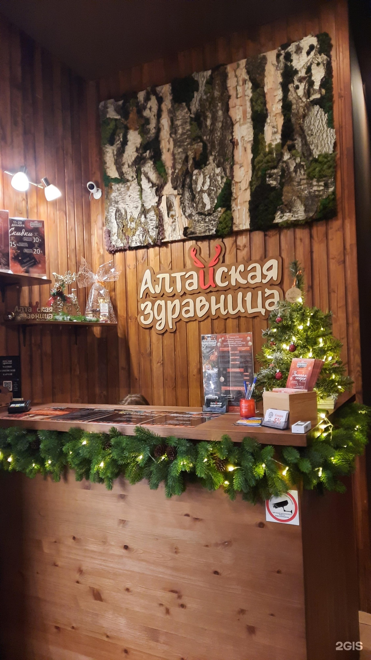 Алтайская здравница в абакане спа салоны. Таежная здравница. Алтайская здравница абакан. Алтайская здравница кемерово. Алтайская здравица.