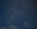 Лебедино эко: отзыв от Гузеля Анисимова