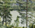 Altai ForRest: отзыв от Александр Янченко