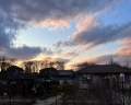 RushinDorf: отзыв от Камилла Ким