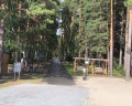 Салют: отзыв от Ирина Черных