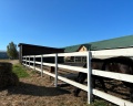 Na Ferme: отзыв от Xeniya
